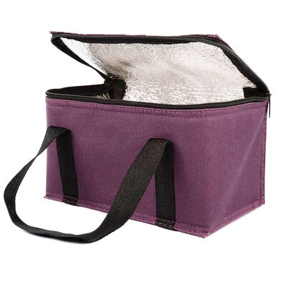 OEM Özel Yazdırma Yumuşak yalıtımlı soğutucu torba 21 * 13 * 14 cm 4L 16L 32L Kapasitesi ile