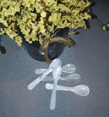 Mükemmel Havyar Kaşığı